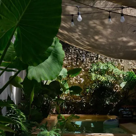 Hotel&Hostal Boutique Casa Garza-2